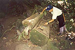 Old Coffin found near DVFC. Photo by S. Yorath