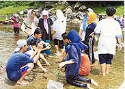 Outdoor Activities