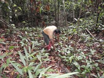 Description: PA193840.JPG