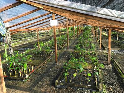 Description: IMG_5894.JPG