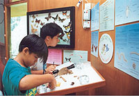 Anybody can be a scientist. Photo By J. Omar