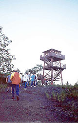 Visitors at the Observation Tower. Photo by S. Yorath
