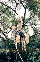 Canopy Research. Photo By J. Omar