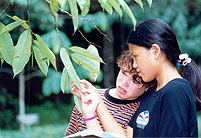 School children learning about leaves. Photo By J. Omar