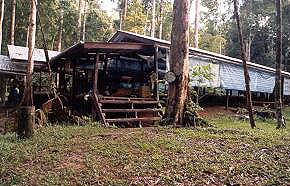 Agathis Camp, Maliau Basin. Photo By CCD